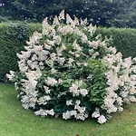 A 2 De Paris, Loft Romantique De 55 M2 En Pleine Nature Entre Campagne Et 4*