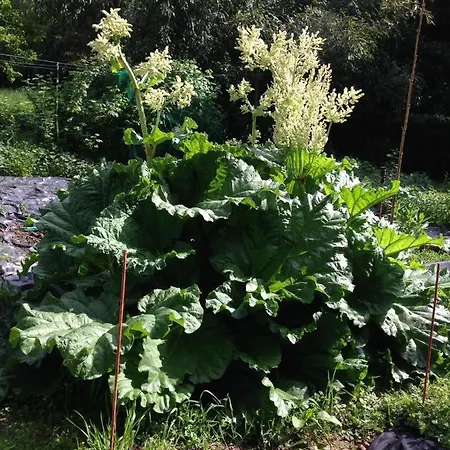 A 2 De Paris, Loft Romantique De 55 M2 En Pleine Nature Entre Campagne Et Affittacamere 4*