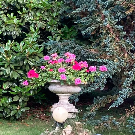 A 2 De Paris, Loft Romantique De 55 M2 En Pleine Nature Entre Campagne Et Penzion 4*